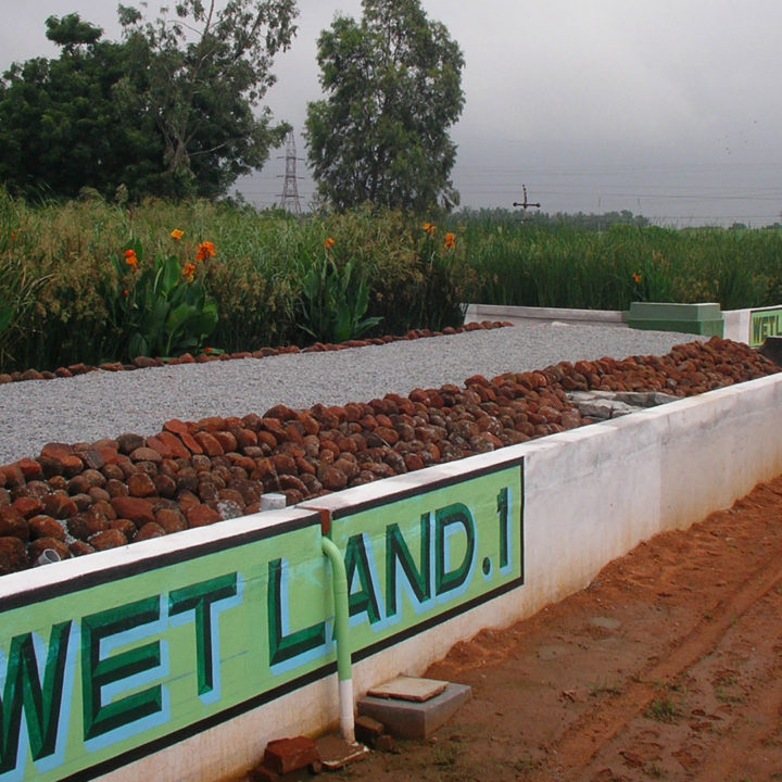 Msr Constructed Wetlands Biomatrix