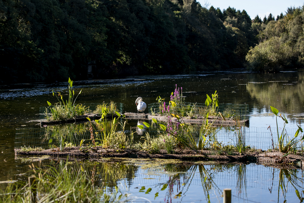 Brodie Pond Floating Biosculpture Biomatrix