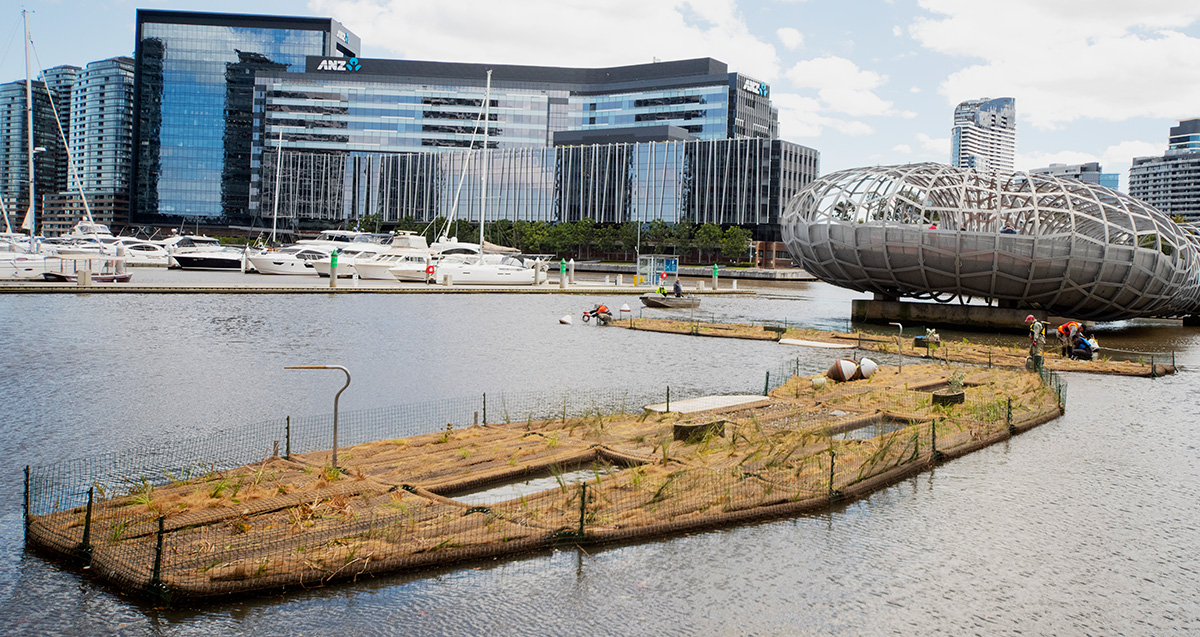 Floating Ecosystems Launched in Melbourne - Biomatrix