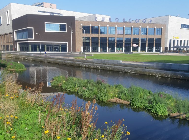 Floating Ecosystems Bring New Life to Amsterdam City Council Offices ...